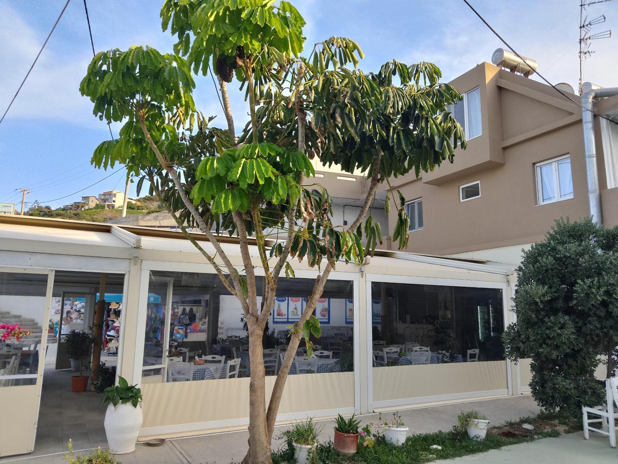Anatoli Lygaria Apartments On The Beach リガリア エクステリア 写真